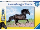 Ravensburger Puzzle Schwarzer Hengst 200 XXL Teile