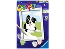 Ravensburger Malen nach Zahlen Border Collie mit Acrylfarben
