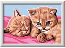 Ravensburger Malen nach Zahlen Katzenfreunde mit Acrylfarben