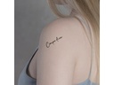 minink Tattoo Schrift Carpe diem Grösse: M (1.4 cm x 4.7 cm)