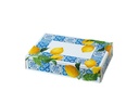 Decora Dessert-Box Amalfi-Zitronen 23 x 16 x 5 cm, Karton