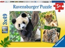 Ravensburger Puzzle Panda, Tiger und Löwe 3 x 49 Teile