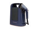 Russell Hobbs Steam Genie Maestro 2-in-1 Dampfbürste 1700 W