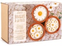 Graine Créative Kerzen DIY Kit Gänseblümchen Keramik Wachs