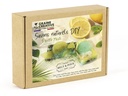 Graine Créative Graine Créative Seifen DIY Kit Mojito Grün