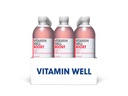 VITAMIN WELL Getränk Boost 12 x 0.5 l