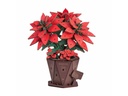 Rolife Bausatz Poinsettia Weihnachtsstern