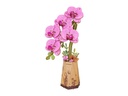 Rowood Bausatz Purple Moth Orchid 3D-Holzpuzzle Modellbausatz
