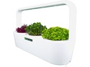 Click and Grow Indoor-Garten MicroBuddy, Weiss 38 cm