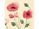 Duni Papierservietten Poppy Charm 33 cm x 33 cm, 250 Stück