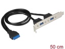 Delock Slotblech 1x19Pin, 2xUSB-A