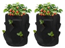 STRUCT Pflanzentasche Erdbeeren, 2er Set