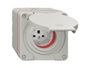 Feller NEVO AP-Nass-Steckdose 1xT25 (16A/400 V) IP55 lgr Grau