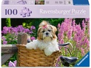 Ravensburger Puzzle Süsser kleiner Hund 100 Teile