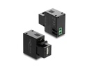 Delock Keystone-Modul USB Typ-A zu 2 Pin Terminalblock