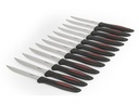 alpina Steakmesser-Set 12 Stück, Schwarz