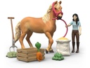 Schleich Emily s Pflege Set Andalusier Stute Pflegeset