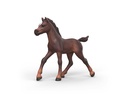 Schleich 81479 Kinderspielzeugfigur Kunststoff mehrfarbig