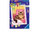 Ravensburger Malen nach Zahlen CreArt – Maine-Coon-Kätzchen