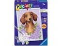 Ravensburger Malen nach Zahlen CreArt – Dachshund Lilac