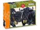 Carta.Media Puzzle mit 1000 Teilen Eringer Kühe