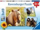Ravensburger Puzzle Liebe Pferde 3 x 49 Teile