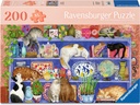 Ravensburger Puzzle Cats on the Shelf 200 XL Teile
