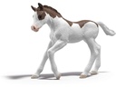 Schleich Sammelfohlen Dipper