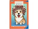 Ravensburger Puzzle Corgi-Pilz