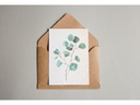 Gorilla Gardening Postkarten aus Samenpapier – Eukalyptus A6