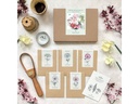Gorilla Gardening Blumenstrauss zum selber Pflanzen Kosmeen-Mischung