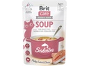 Brit Katzen-Snack Care Cat Soup with Salmon 15 x 75 g