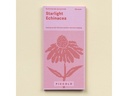 Gorilla Gardening Purpursonnenhut Starlight mehrjährig