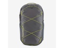 Patagonia Refugio Day Pack 30 l Forge Grey