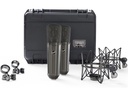 Warm Audio WA-87 R2 TS Stereo-Set Titanium