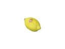 Remo Fruit Shaker LEMN Zitrone