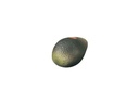 Remo Fruit Shaker Avocado