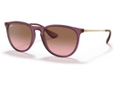 Ray-Ban Sonnenbrille Erika Hellbraun / Braun