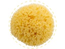 Bellini Baby Naturschwamm gebleicht Honeycomb No. 10 Gelb
