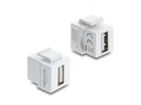 Delock Keystone-Modul Mini Kupplung USB 2.0 Typ-A zu USB – A Buchse