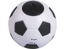 Brunnen Spitzer Fussball, Weiss / Schwarz