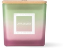 AVA & MAY Berry Kiwi Popsicle Grosse Duftkerze 450 g