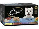 Cesar Multipack Portionsbeutel Senior 12 x 100g