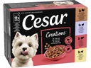 Cesar Multipack Selektion in Gelee 4 Varietäten 12 x 100 g
