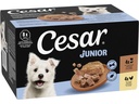 Cesar Schale Junior Gartenterrine Huhn & Truthahn 8 x 150 g