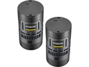 Godox RS60Bi Bi-Color, 2-Leuchten-Set, 60 W