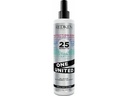 Redken One United 400 ml