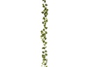 Botanic-Haus Efeugirlande Grün 180 cm