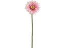 Botanic-Haus Gerbera 57 cm