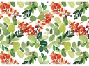 Braun + Company Geschenkpapier Blooming, 2 m x 70 cm